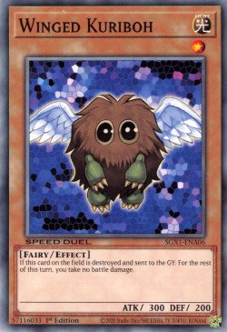 Winged Kuriboh [SGX1-ENA06] Common | GnG Games