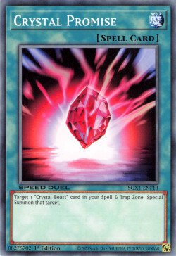 Crystal Promise [SGX1-ENF13] Common | GnG Games