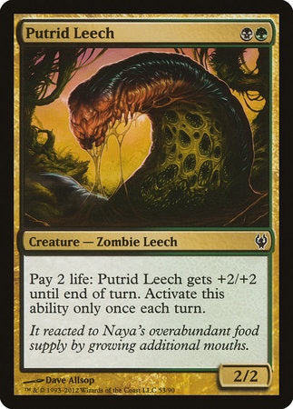 Putrid Leech [Duel Decks: Izzet vs. Golgari] | GnG Games