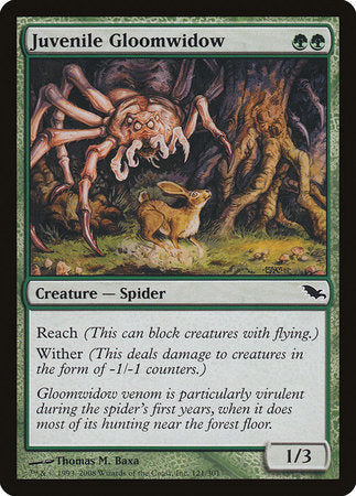 Juvenile Gloomwidow [Shadowmoor] | GnG Games