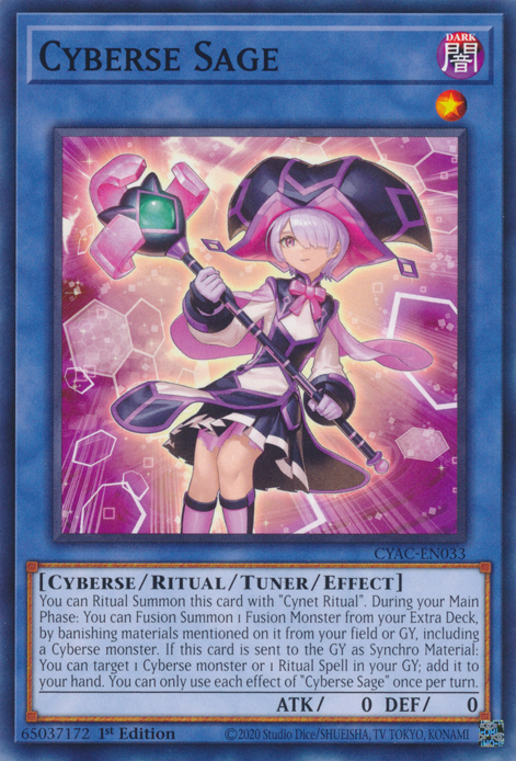 Cyberse Sage [CYAC-EN033] Common | GnG Games