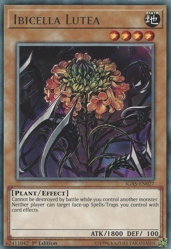 Ibicella Lutea [MP21-EN009] Common | GnG Games