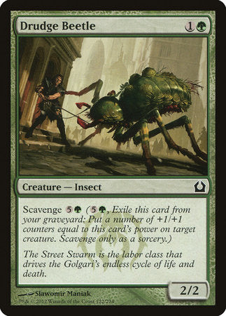 Drudge Beetle [Return to Ravnica] | GnG Games