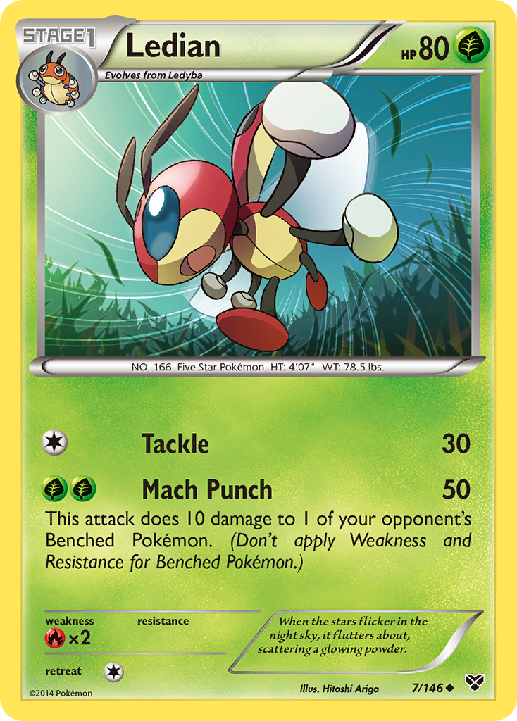 Ledian (7/146) [XY: Base Set] | GnG Games