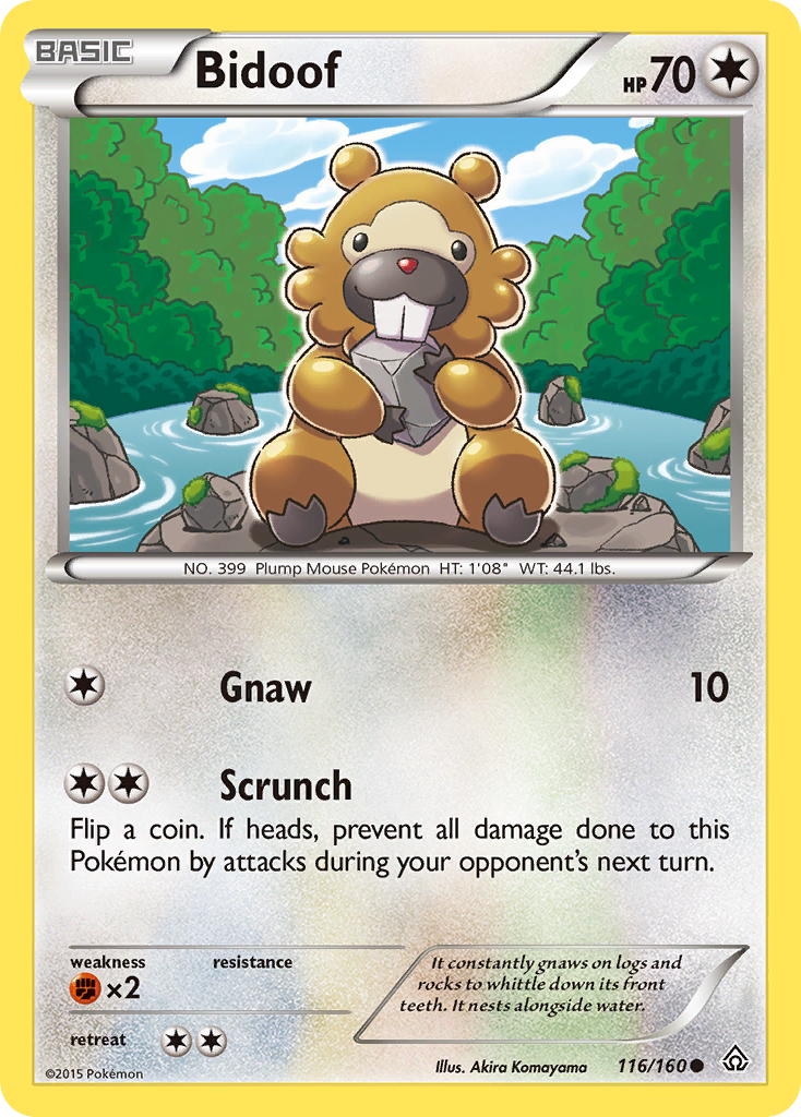 Bidoof (116/160) [XY: Primal Clash] | GnG Games